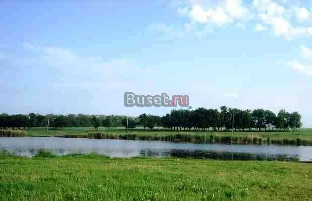 22 сот. ижс в д. Бабеево. 40 км. от МКАД Электросталь