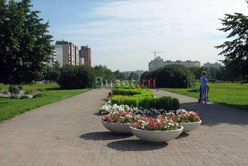 1 к.кв. Долгоозёрная улица Санкт-Петербург