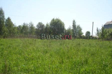 Участок в окружении леса в Дмитровском районе Дмитров