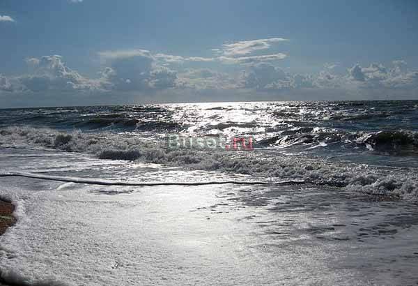 Дача в Крыму Москва