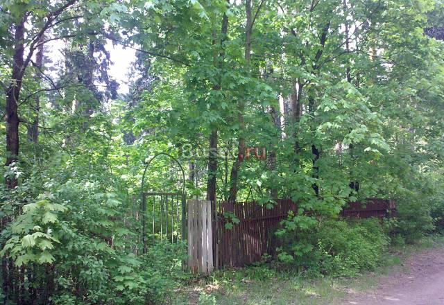 Участок 33 сотки в Кратово по 18000 за сотку Москва