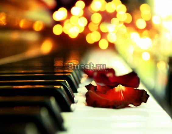 Продам пианино(фортепиано) Калининград