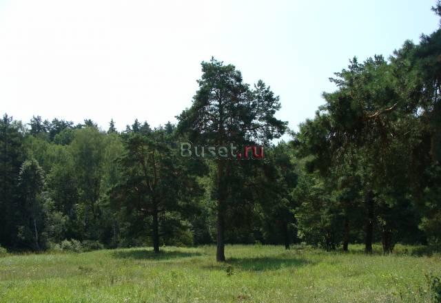 Тульская обл. 100км. от МКАД без дыма и гари Москва