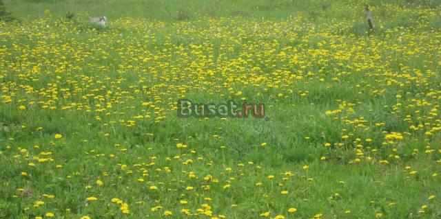 Земельный уч-к под заправку, терминал, гостиницу Великий Новгород