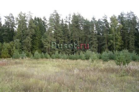 Участок 15 соток,95км от МКАД.Орехово-Зуевский р-н Орехово-Зуево