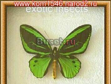 Интерьер и дизайн вашего дома Москва