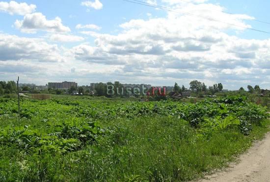 Участок в 5 минутах от Павловска Санкт-Петербург