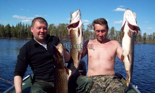 Рыбалка охота в Карелии Ржев