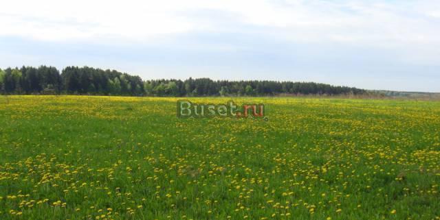 По киевскому шоссе дачи Москва