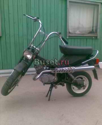 Мини стелла Москва