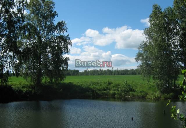 Земля в Маслянинском районе нсо Новосибирск