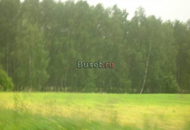 Часток в садовом товариществе Воймежное Москва