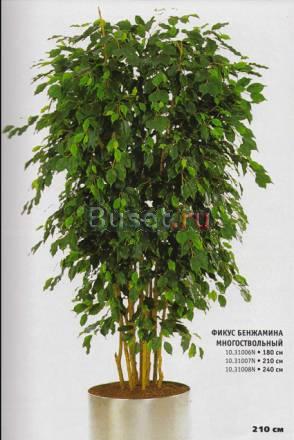 Искусственные растения Воронеж