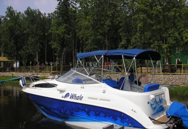 Bayliner 265 Cruiser Самара