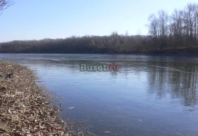 Участок  вдоль п.Репино, на берегу ерика Волгоград