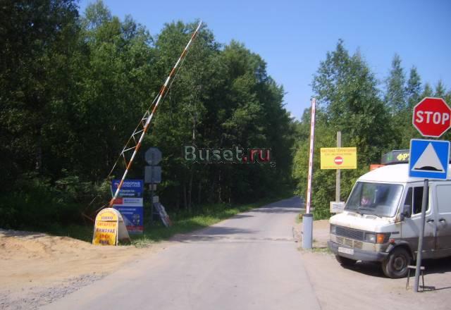 40 км Выборгского шоссе, Сосновая поляна Санкт-Петербург