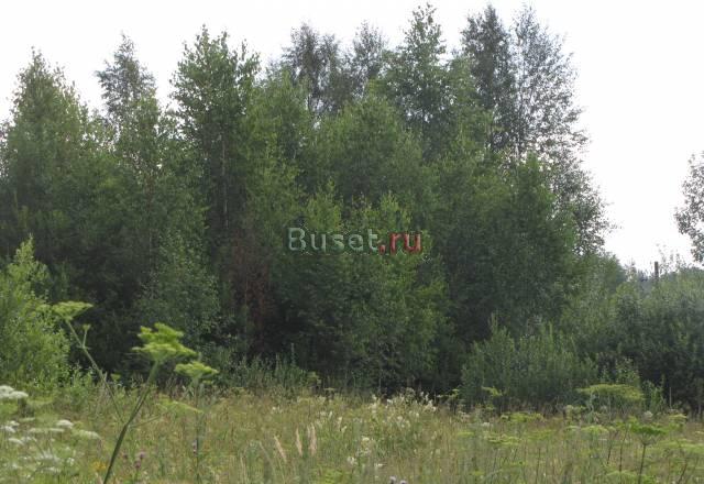 Зем.участок 30с.слесом на берегу большого озера Москва