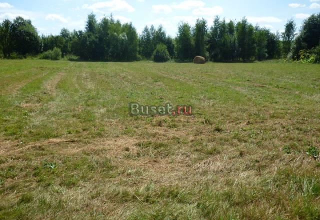 Продажа земельного участка в деревне Тверь