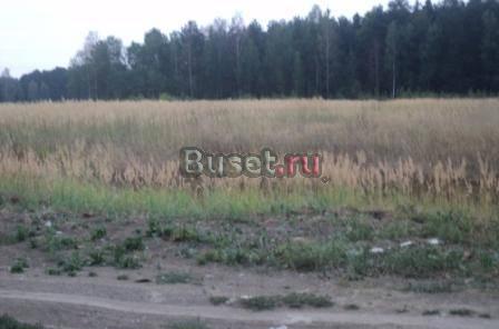 Московская область Раменский район Раменское