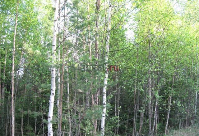 Участок в дер. Лебедевка Выборг