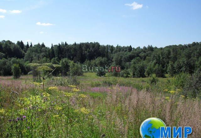 Участок в пригороде Волоколамска Волоколамск