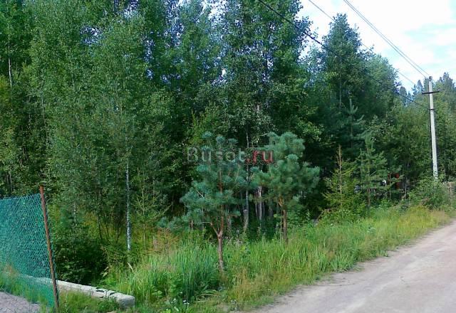 Выборгский район, СНТ "Лесник", земельный участок Выборг