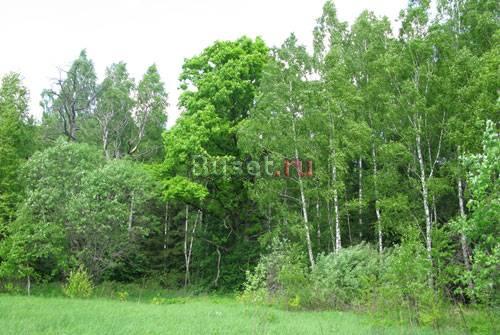 Коттеджный поселок в серпуховском р-не Москва