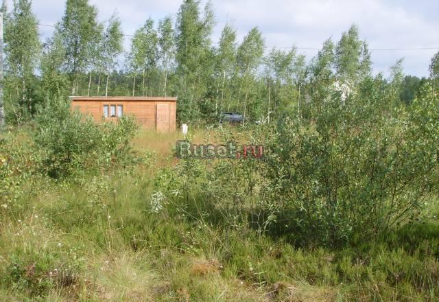 Участок 10+ соток  в 2км от г.кировск лен.область Санкт-Петербург