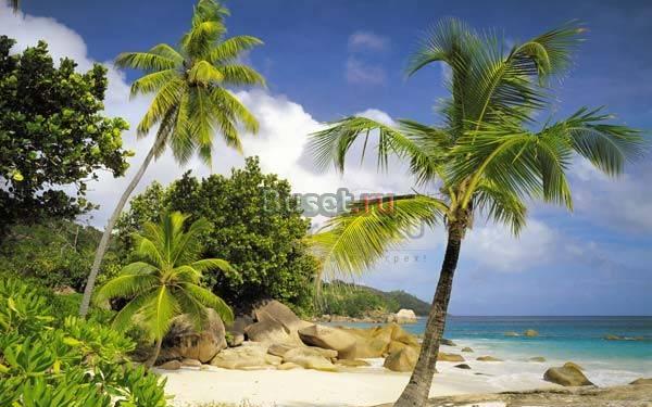 Фотообои Волгоград