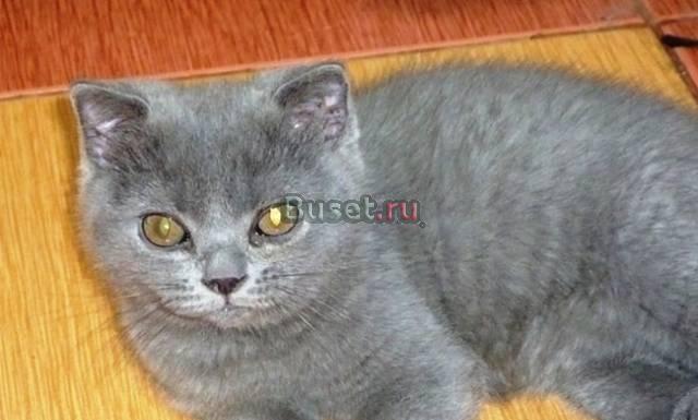 Голубой пацан Москва