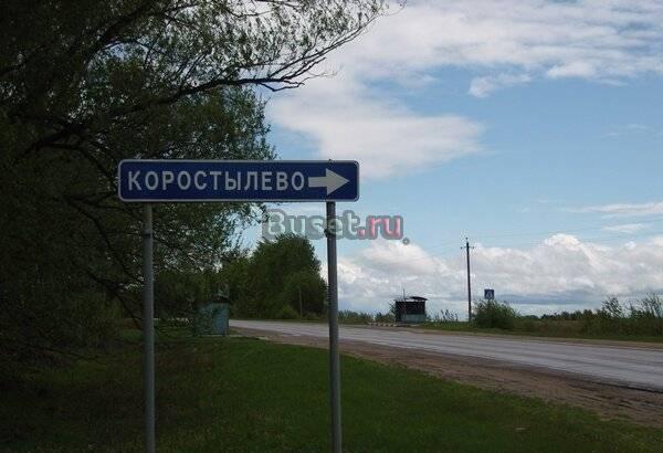 8 соток в деревне Коростылево за 370 тыс Москва