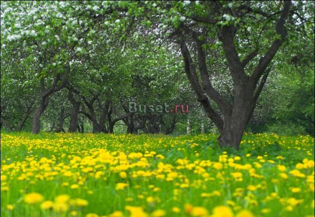 Прекрасный участок Москва