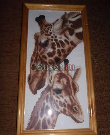 Картина вышитая "жирафы" Москва