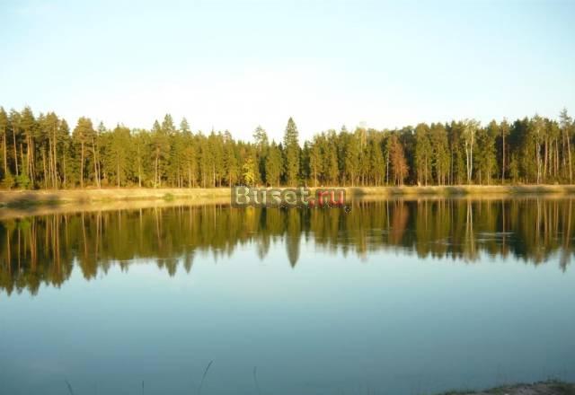 Участок 6,43 сот в СНТ Мечта Щелковское шоссе 25км Щёлково