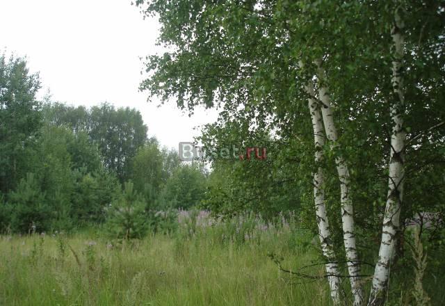 Земельный  участок  6  соток 65 км от МКАД Киржач