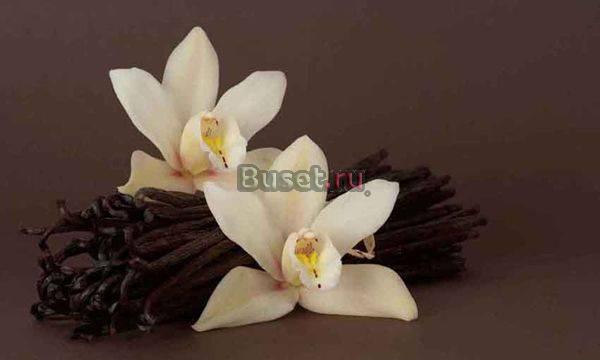 Организация праздничных мероприятий Москва