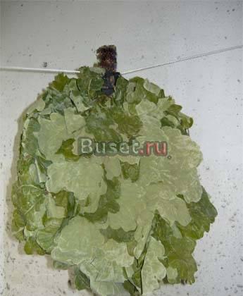 Веники для бани , дубовые и березовые Москва