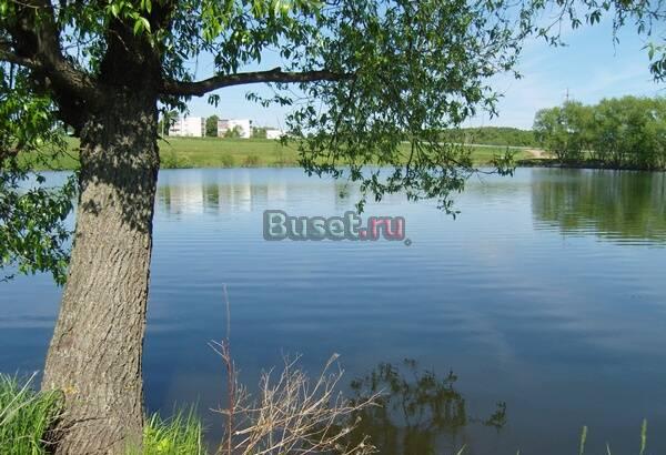 7,5 соток 320 тыс собственник Москва