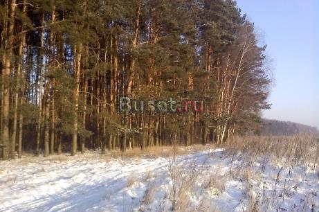 Участок 15 сот в д.Здехово Щелковский р-он Щёлково