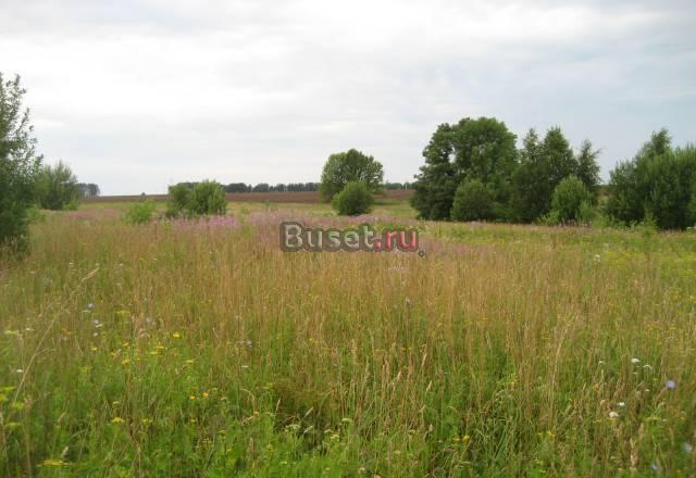 Продам участок д.Каленки(д.Шапкино) Богородское на Нижний Новгород