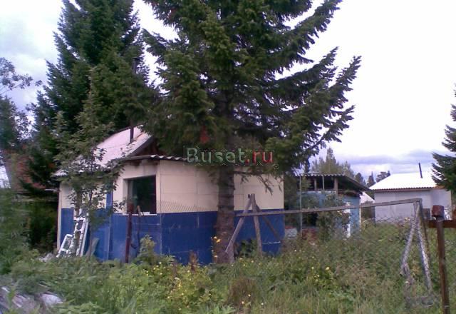 Дача на ст. Рябинино Красноярск