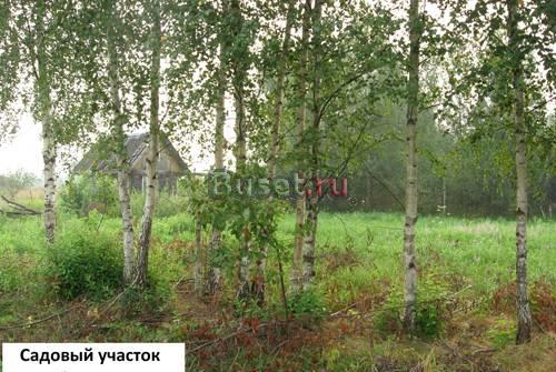 6 сот.125км.Дмитр.ш.Большая река.Лес Москва