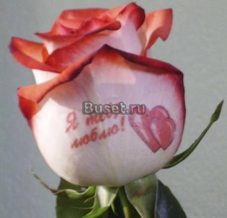 Надписи на цветах! Ищем партнеров! Омск