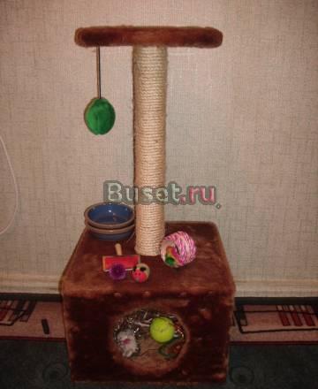 Дом для кошки Ростов-на-Дону