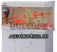 Магазин Аквариумистики Москва