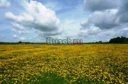 11соток Тимково 55км Горьковское,Щелковское Москва