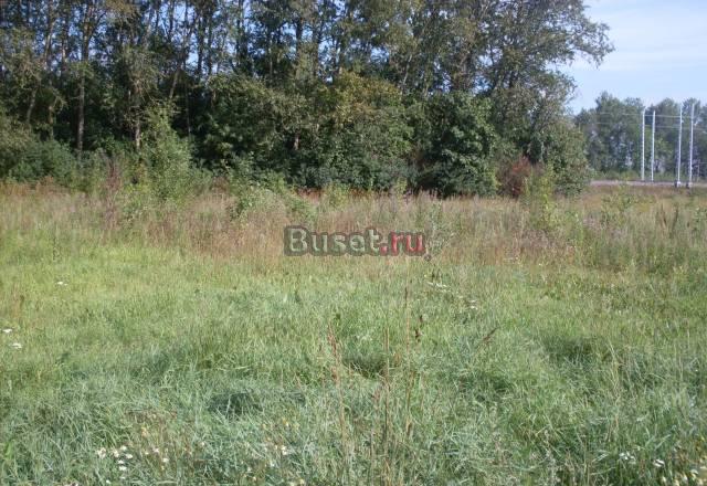 19 соток земли д. Торма Кингисеппского района Кингисепп