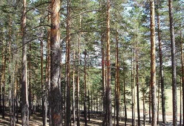 Продам участок  по варшавскому шоссе Москва