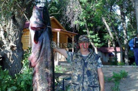 База отдыха в Астрахани Камызяк