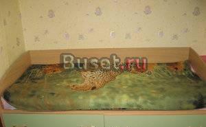 Детская не дорого Москва